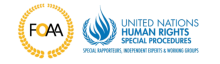 Logo Relatoría ONU